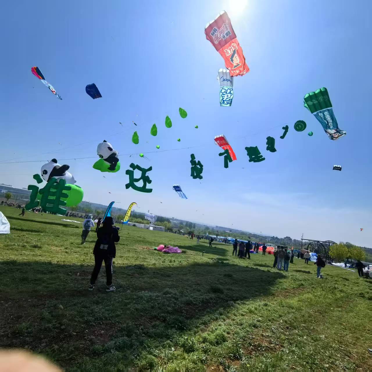 开封市软体风筝定制风筝定制 - 一站式服务